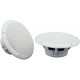 OD5-W8 Water resistant speaker, 13cm (5), 80W max, 8 ohms, White