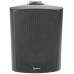 BC6V-B 100V 6.5 background speaker black