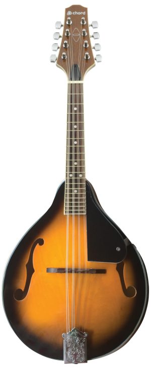 Mandolino Tradizionale Chord 174.507UK